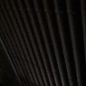 Meet your Posher, Demetrius